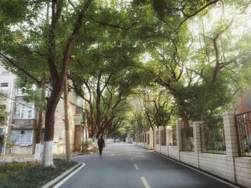 企业办公设备与网络设备采购：如何选择适合的电脑配件与通讯器材方案
