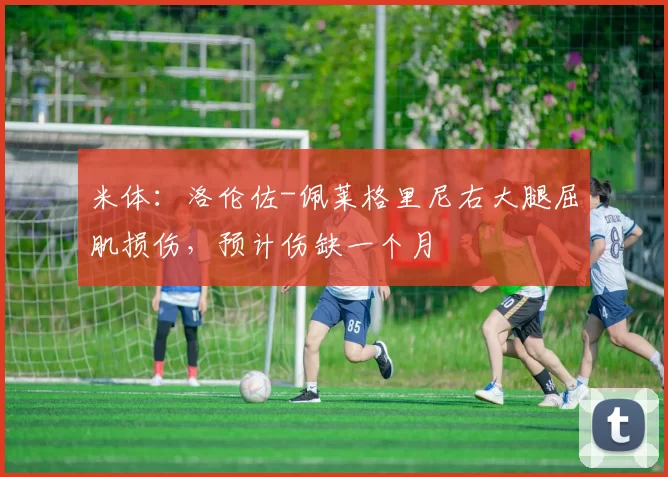 米体：洛伦佐-佩莱格里尼右大腿屈肌损伤，预计伤缺一个月